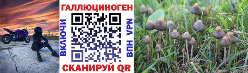 что такое   Велиж  мега ссылки  Псилоцибиновые грибы мухоморы 